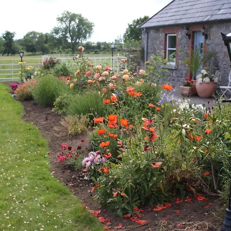 Pensionat Boyne View House