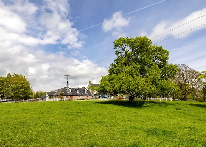 Boyne View House بيت ضيافة تريم